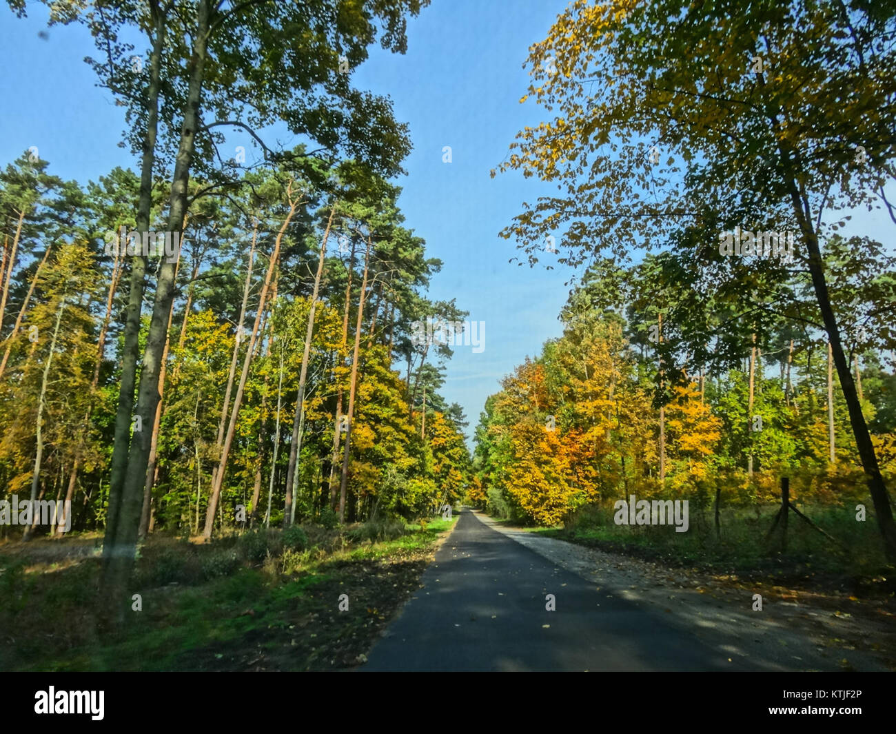 Ce titre fait référence à un bâtiment à LPKiWRynkowo, un emplacement identifié par le numéro 1 10, pris en 2013. Plus de détails sur le bâtiment et son but seraient nécessaires pour plus de clarté. Banque D'Images
