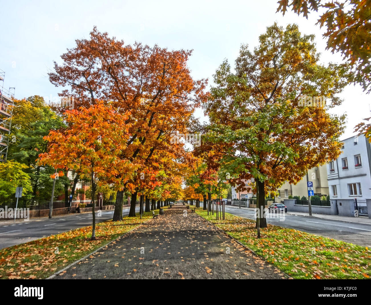 BDG alOssolinskich 11 09 2013 fait référence à une adresse en Pologne, spécifiquement liée à un bâtiment situé au 11 Ossolinskich. Le titre se rapporte vraisemblablement à un événement ou à un sujet associé à cet endroit le 9 novembre 2013. Banque D'Images