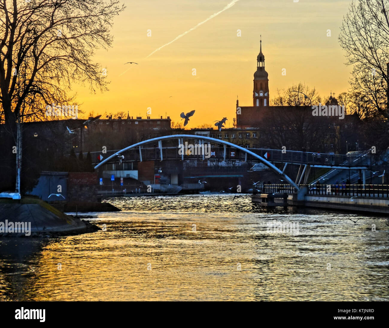 La passerelle Love, capturée le 2 mars 2014, est une passerelle piétonne connue pour ses associations romantiques. Le pont est un endroit populaire pour les couples, symbolisant l'amour et l'engagement, souvent orné de cadenas comme signes d'affection. Banque D'Images