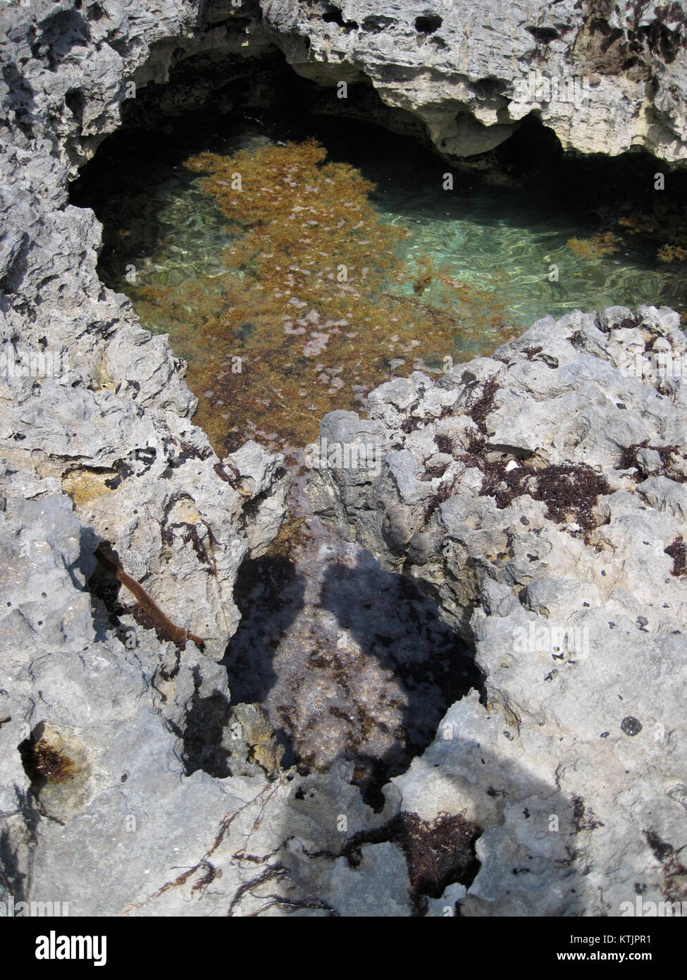 Cette image capture une vue panoramique des Bahamas en 2009, mettant en valeur sa beauté tropicale, ses eaux bleues claires et ses environs luxuriants, soulignant l'attrait de l'île en tant que destination touristique populaire. Banque D'Images