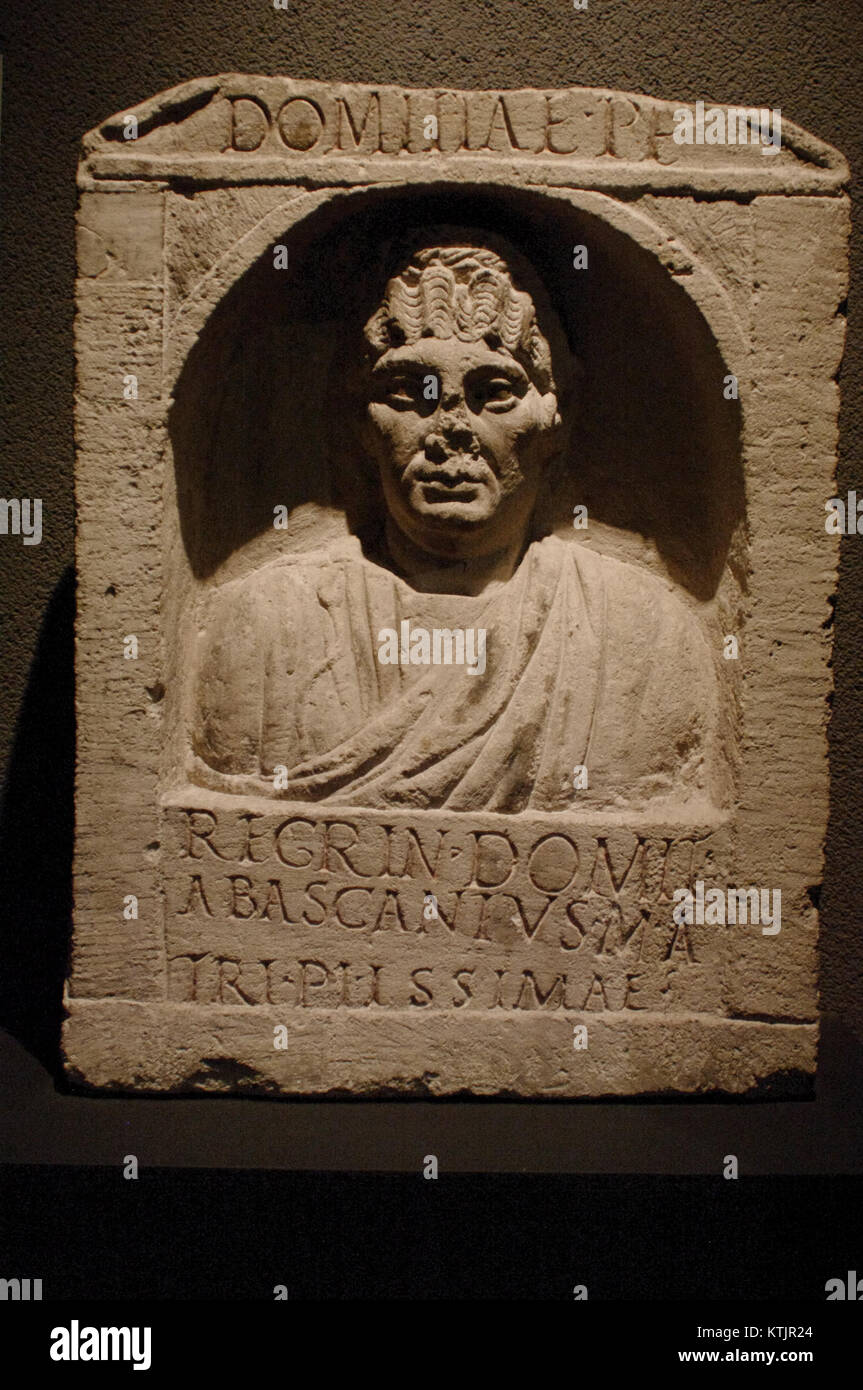 Domitia Peregrina était une matrone romaine qui a acquis une importance historique pour ses liens familiaux et son statut social dans la société romaine. Son nom est enregistré dans des inscriptions anciennes, jetant la lumière sur les structures sociales romaines et les relations familiales. Banque D'Images