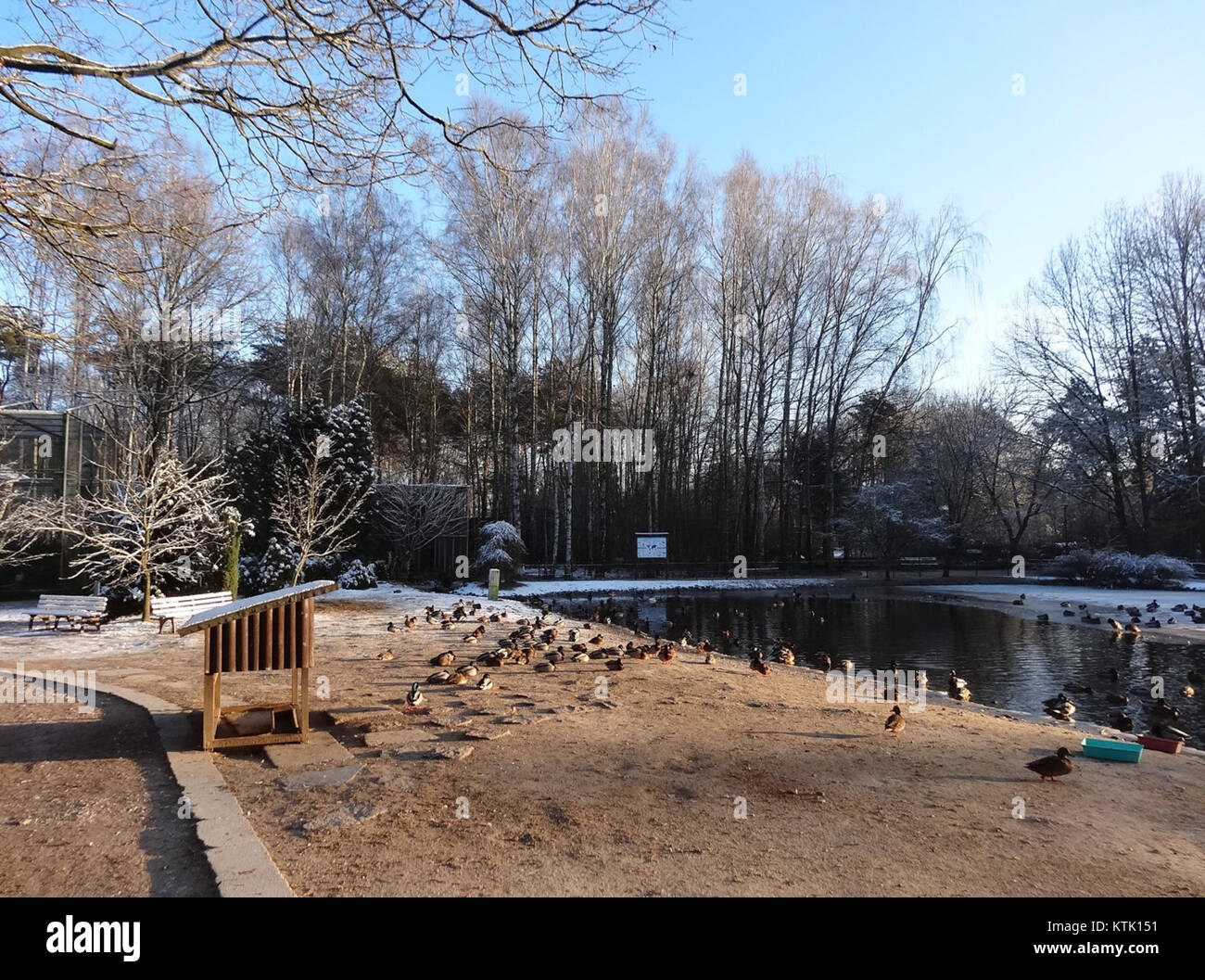 Une photographie prise le 27 janvier 2015 au zoo de BDG montre la vie vibrante au sein du parc zoologique. Il capture diverses espèces et souligne le rôle du zoo dans la conservation de la faune et l'éducation du public. Banque D'Images Une photographie prise le 27 janvier 2015 au zoo de BDG montre la vie vibrante au sein du parc zoologique. Il capture diverses espèces et souligne le rôle du zoo dans la conservation de la faune et l'éducation du public. Banque D'Images