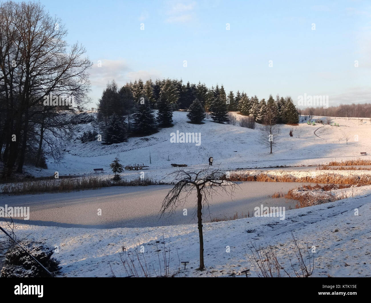 Le jardin botanique de BDG, en Pologne, est un site remarquable pour la diversité végétale et la recherche botanique. Il présente une grande variété d'espèces végétales et fournit un environnement pour l'étude et la conservation. Banque D'Images