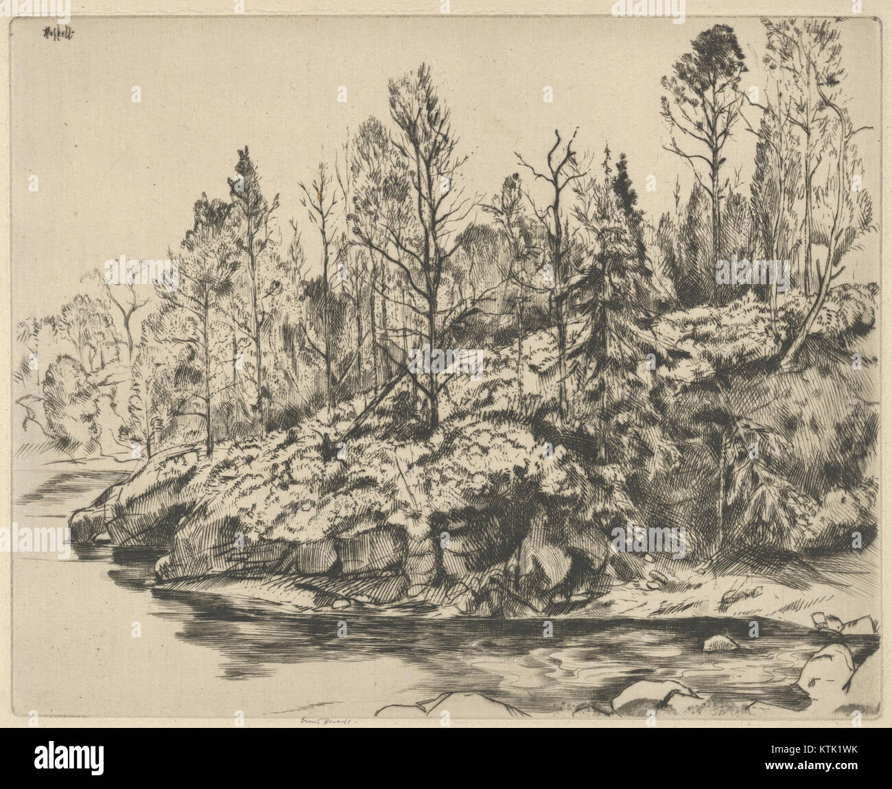 Cette photographie capture les couleurs vibrantes de l'automne à un endroit connu sous le nom de point automnal. La beauté naturelle est soulignée par les riches teintes du feuillage d'automne, créant une atmosphère pittoresque et paisible. Banque D'Images