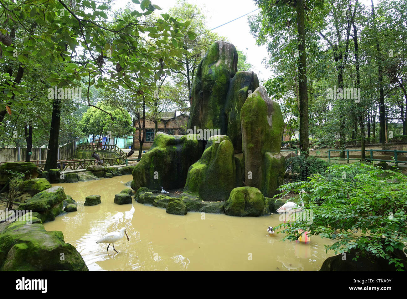 Le parc Tazishan à Chengdu, en Chine, est connu pour sa verdure luxuriante et sa grande volière. La volière abrite une variété d'espèces d'oiseaux et offre aux visiteurs un environnement paisible pour profiter de la nature. C'est un élément clé du parc, attirant les ornithologues et les passionnés de nature. Banque D'Images