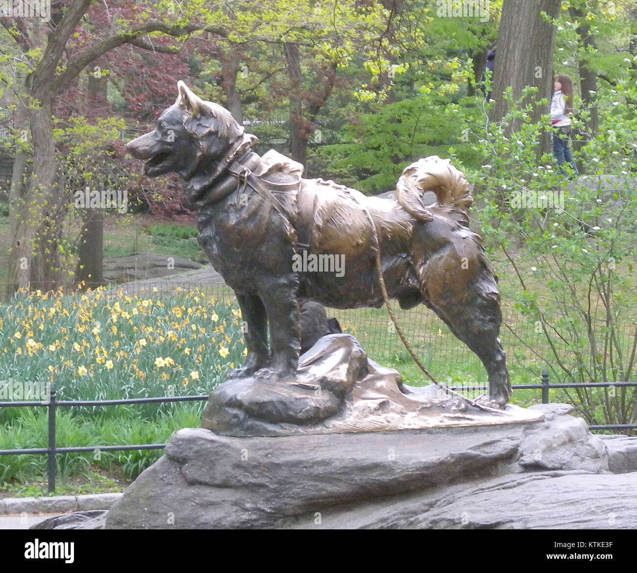 Il s'agit d'une image ou d'une figure de Balto, probablement le célèbre chien de traîneau, connu pour son voyage héroïque dans la livraison de médicaments à Nome, en Alaska, lors d'une épidémie de diphtérie en 1925. Banque D'Images