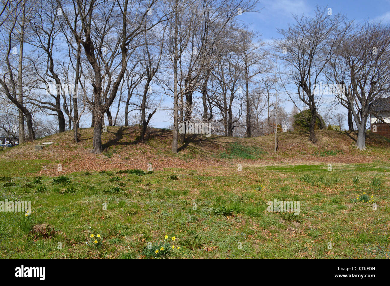 Atagoyama Kofun est un monticule funéraire historique situé à Gyoda, au Japon. Le site remonte à la période Kofun et est connu pour sa forme distinctive de zenkei (trou de serrure), une caractéristique commune dans les anciens monticules funéraires. Le site offre un aperçu des pratiques funéraires et des structures sociétales de la période. Banque D'Images