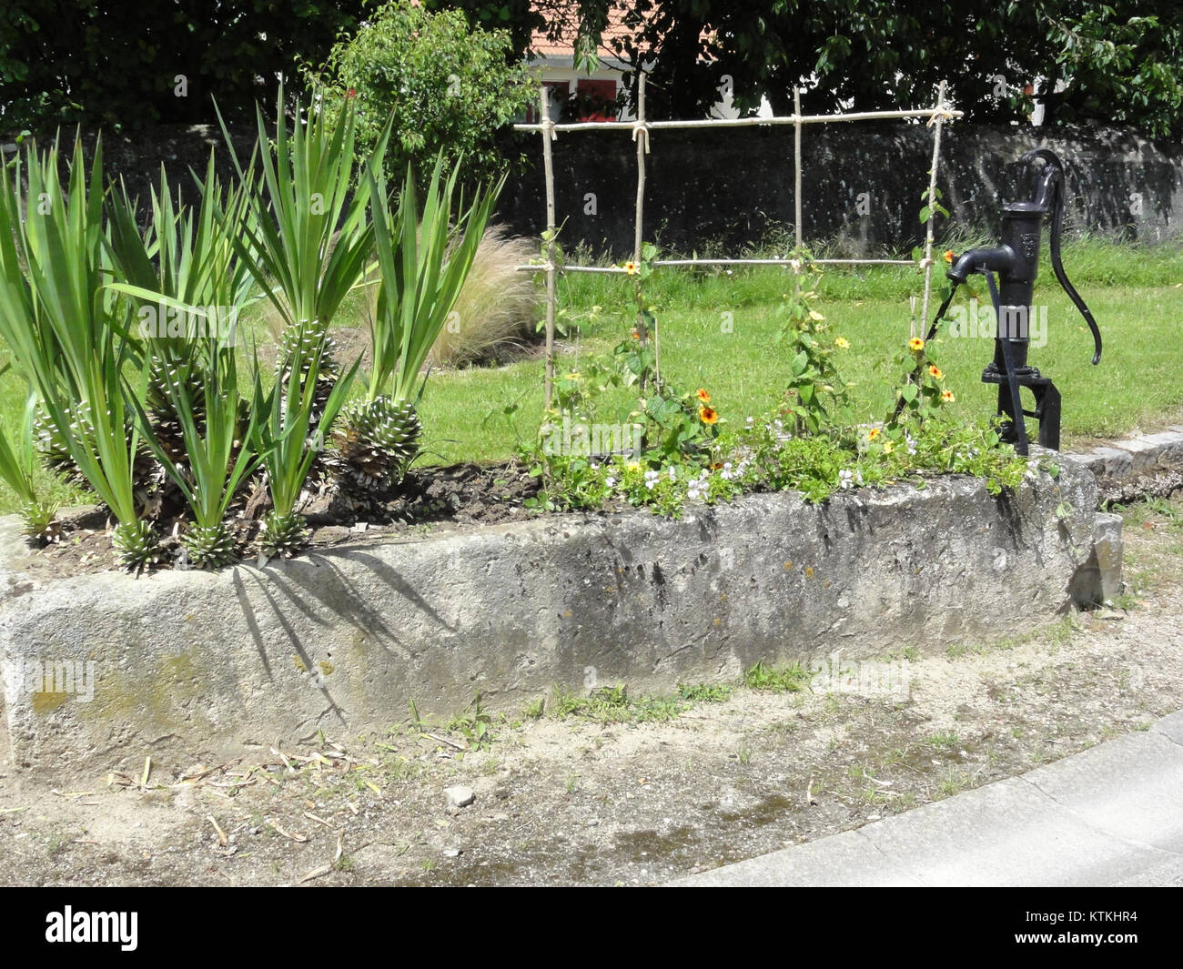 La fontaine Azelot B, conçue par M et M, est une fontaine publique emblématique dotée d’un système de pompe, remarquable pour son design et sa fonctionnalité dans les espaces publics. Banque D'Images