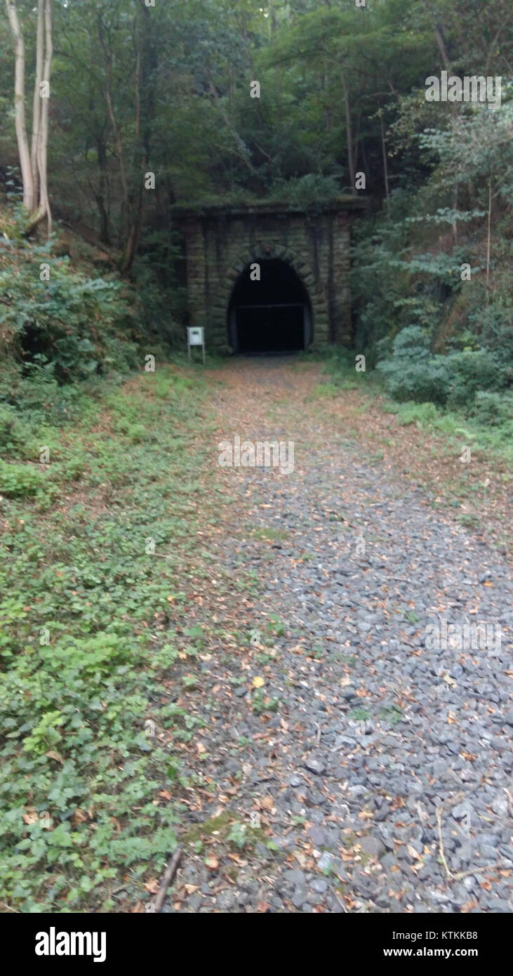 Le Bettingbergtunnel est un tunnel ferroviaire situé près de Himmelreich, près de Wertheim, en Allemagne. Il fait partie du système ferroviaire de la région et constitue un élément essentiel de l'infrastructure pour le transport en train. La construction du tunnel reflète les techniques d'ingénierie modernes utilisées pour les systèmes de transport souterrains. Banque D'Images