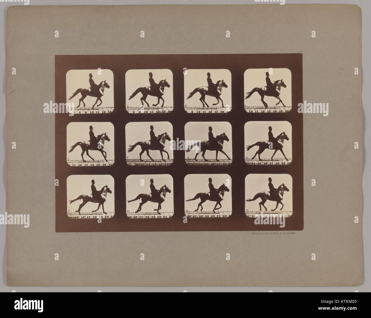 « Attitudes of Animals in Motion » est une œuvre d'art du Metropolitan Museum of Art, présentant des animaux dans diverses poses dynamiques. La pièce met l'accent sur le mouvement et l'étude de l'anatomie animale en action, contribuant à la compréhension du mouvement naturel. Banque D'Images