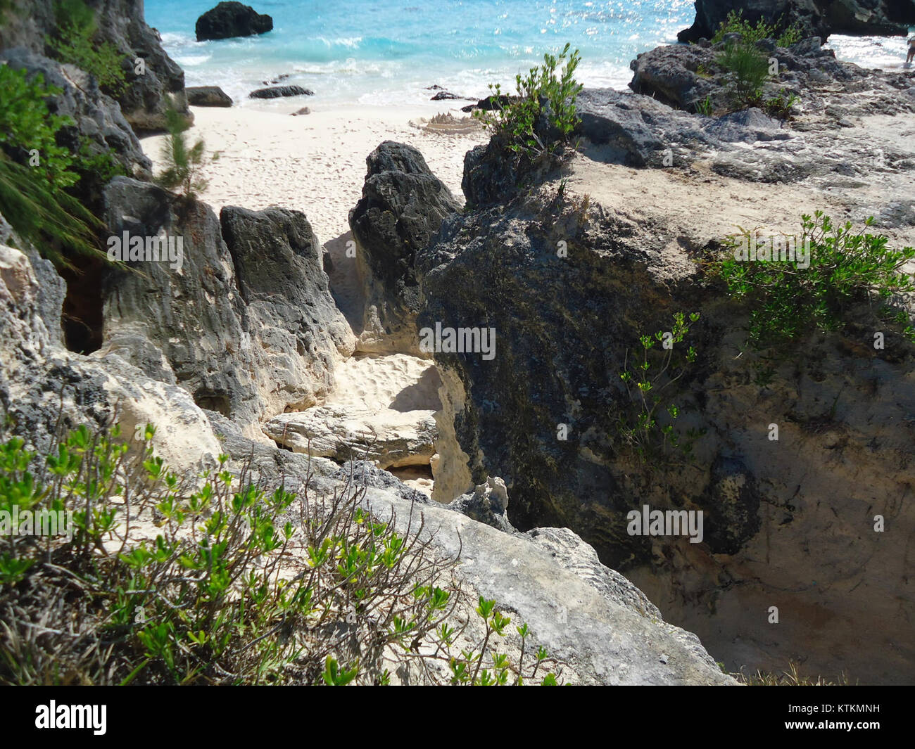 Une image numérotée 234 d'une collection intitulée 'Bermudes (UK)', mettant en valeur la beauté naturelle de l'île avec un accent sur son feuillage, ses plages de sable et ses vues sur l'océan. Banque D'Images