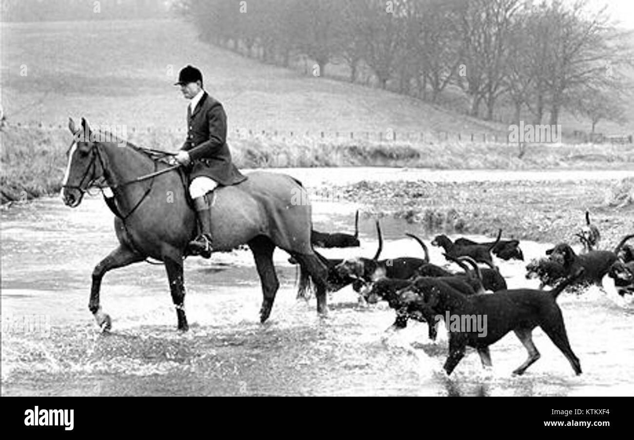 Les Dumfriesshire Hounds sont un club de chasse au foxshire bien connu basé dans le Dumfriesshire, en Écosse, avec une longue histoire de traditions de chasse et de culture sportive. Banque D'Images Les Dumfriesshire Hounds sont un club de chasse au foxshire bien connu basé dans le Dumfriesshire, en Écosse, avec une longue histoire de traditions de chasse et de culture sportive. Banque D'Images
