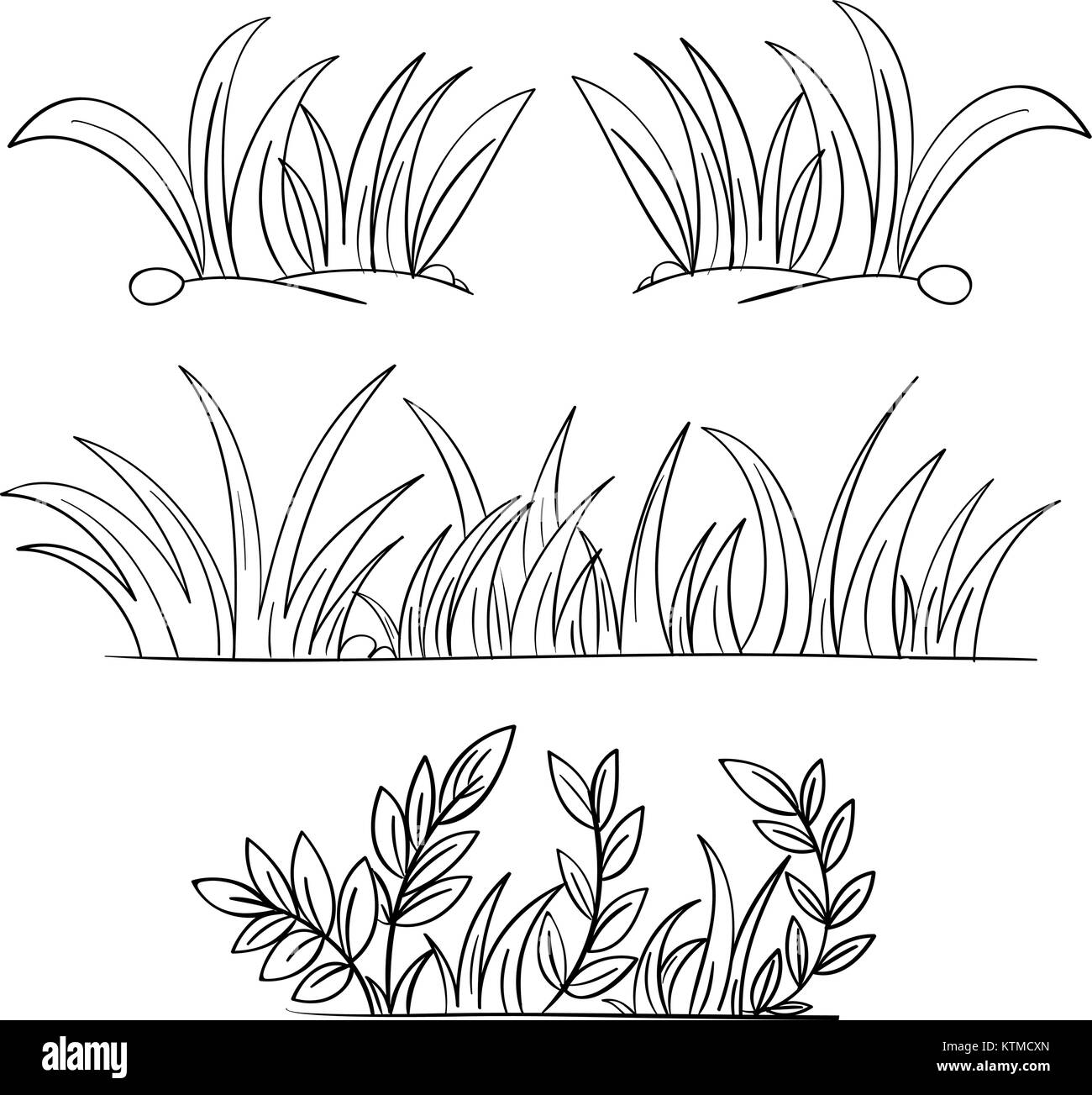 illustration-de-l-herbe-et-des-plantes-d-crit-image-vectorielle-stock