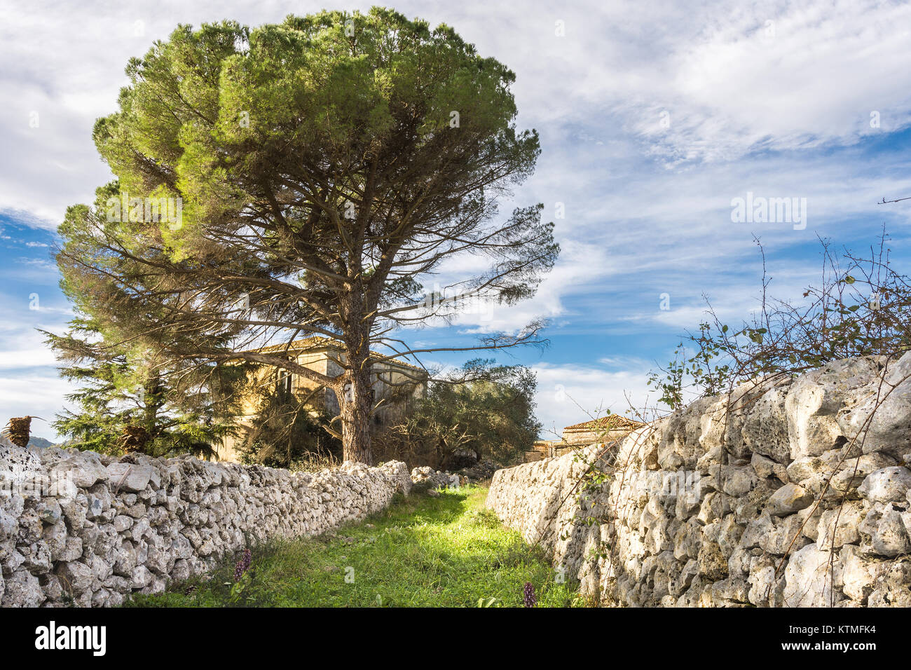 Campagne sicilienne Banque D'Images