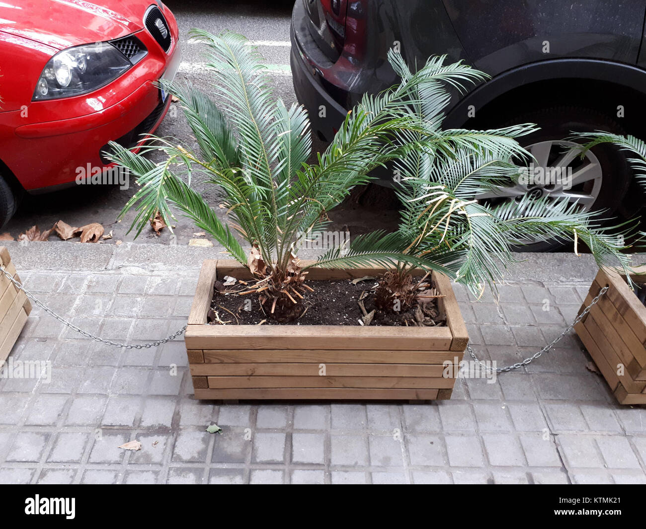 Barcelone 2017 un semoir en bois Banque D'Images