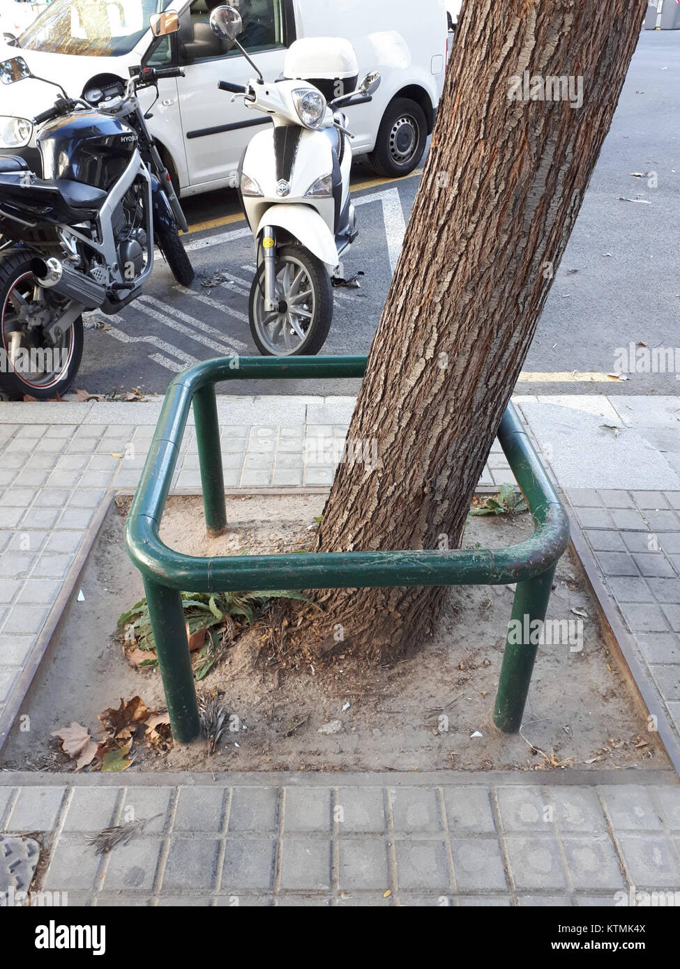 Tronc de l'arbre 2017 Barcelone garde C Banque D'Images