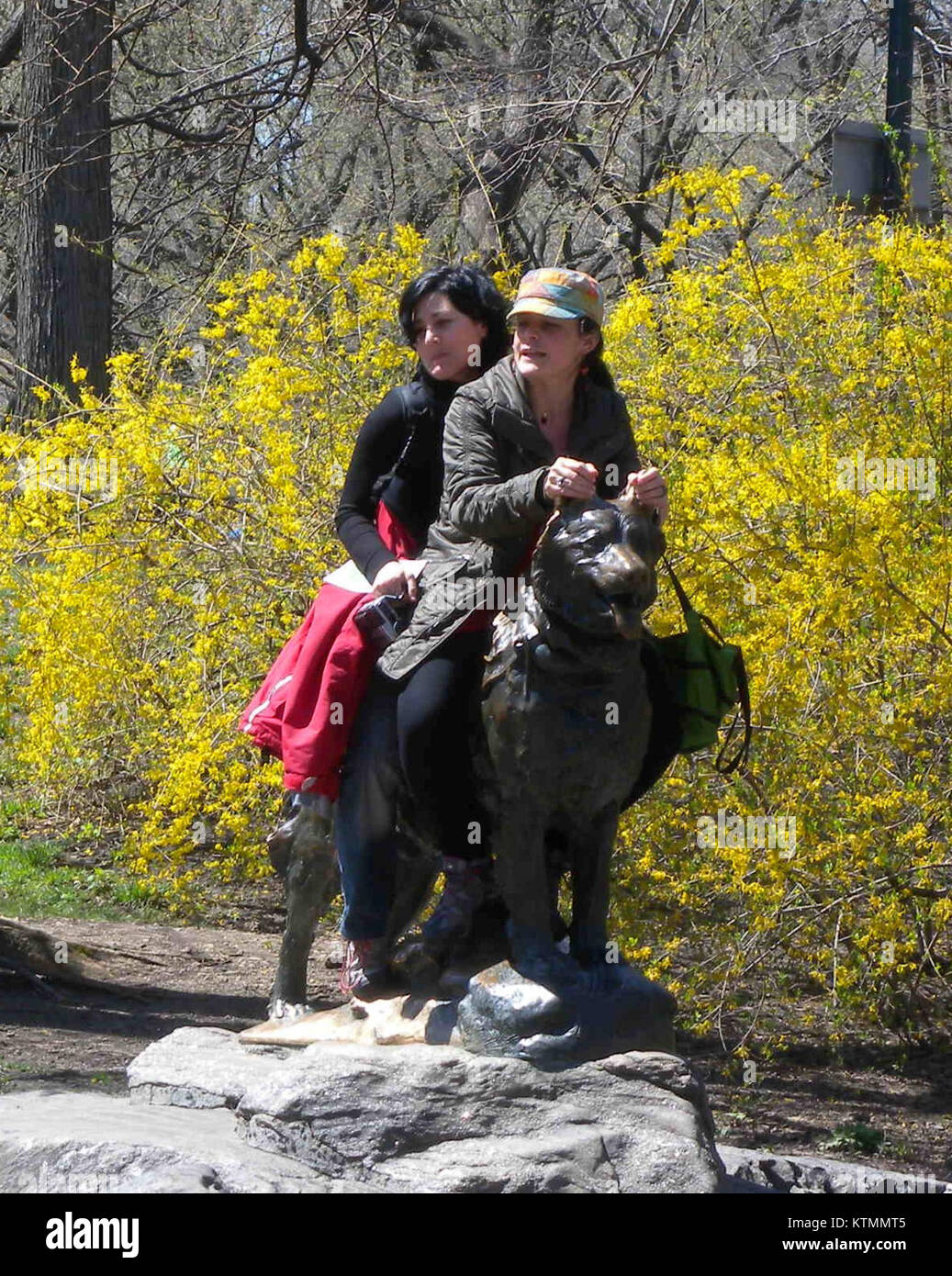 Balto, un chien de traîneau, est représenté par les oreilles avec des fleurs de forsythia autour de lui, soulignant la figure légendaire de Balto et sa contribution à l'équipe de chiens de traîneau lors de la course au sérum de 1925 à Nome. Banque D'Images