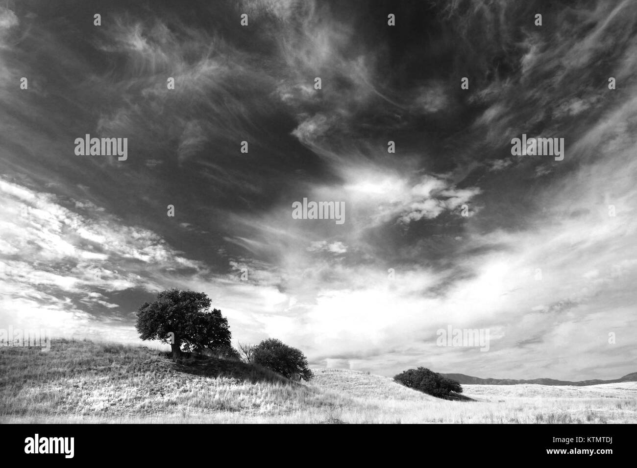 Les prairies de la vallée de San Rafael, situées au sud-est de la Patagonie, en Arizona, sont une zone écologique clé, offrant une végétation et une faune variées, particulièrement remarquées pour son écosystème de prairies. Banque D'Images