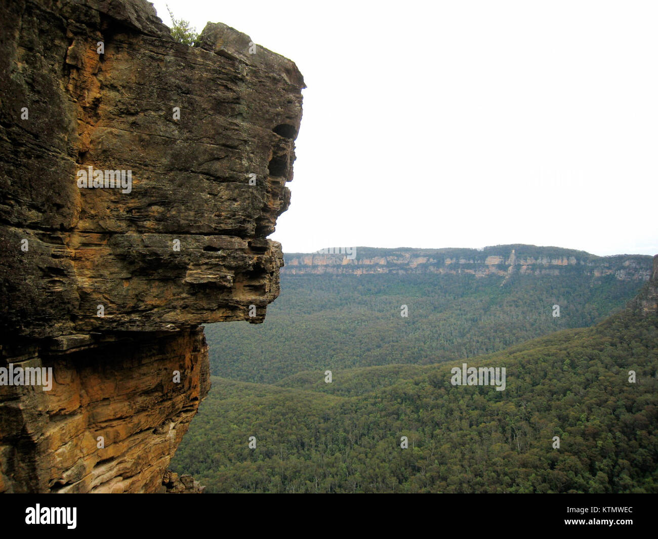 L'Aussie Tour 2007 est un événement majeur, avec une série de performances d'artistes australiens dans plusieurs villes. Cette visite culturelle a mis en valeur la musique australienne, offrant aux fans l'occasion de découvrir des spectacles d'artistes australiens contemporains dans un contexte mondial, mettant en valeur la scène musicale dynamique du pays et son attrait international. Banque D'Images