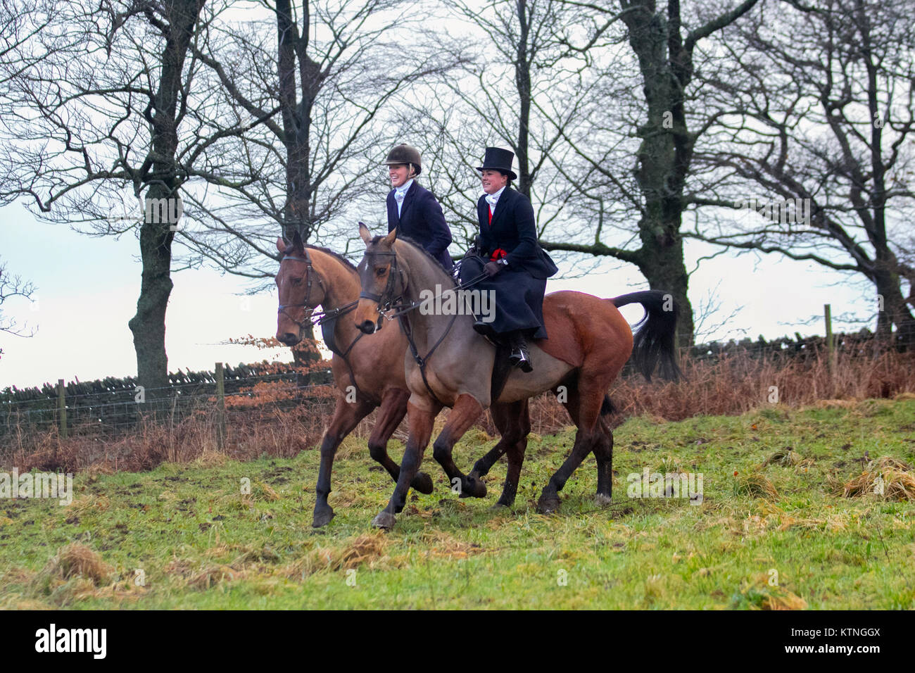 Paire De Traces à Boulons Pour Harnais De Cheval – Anglais – Taille Cob – Cuir