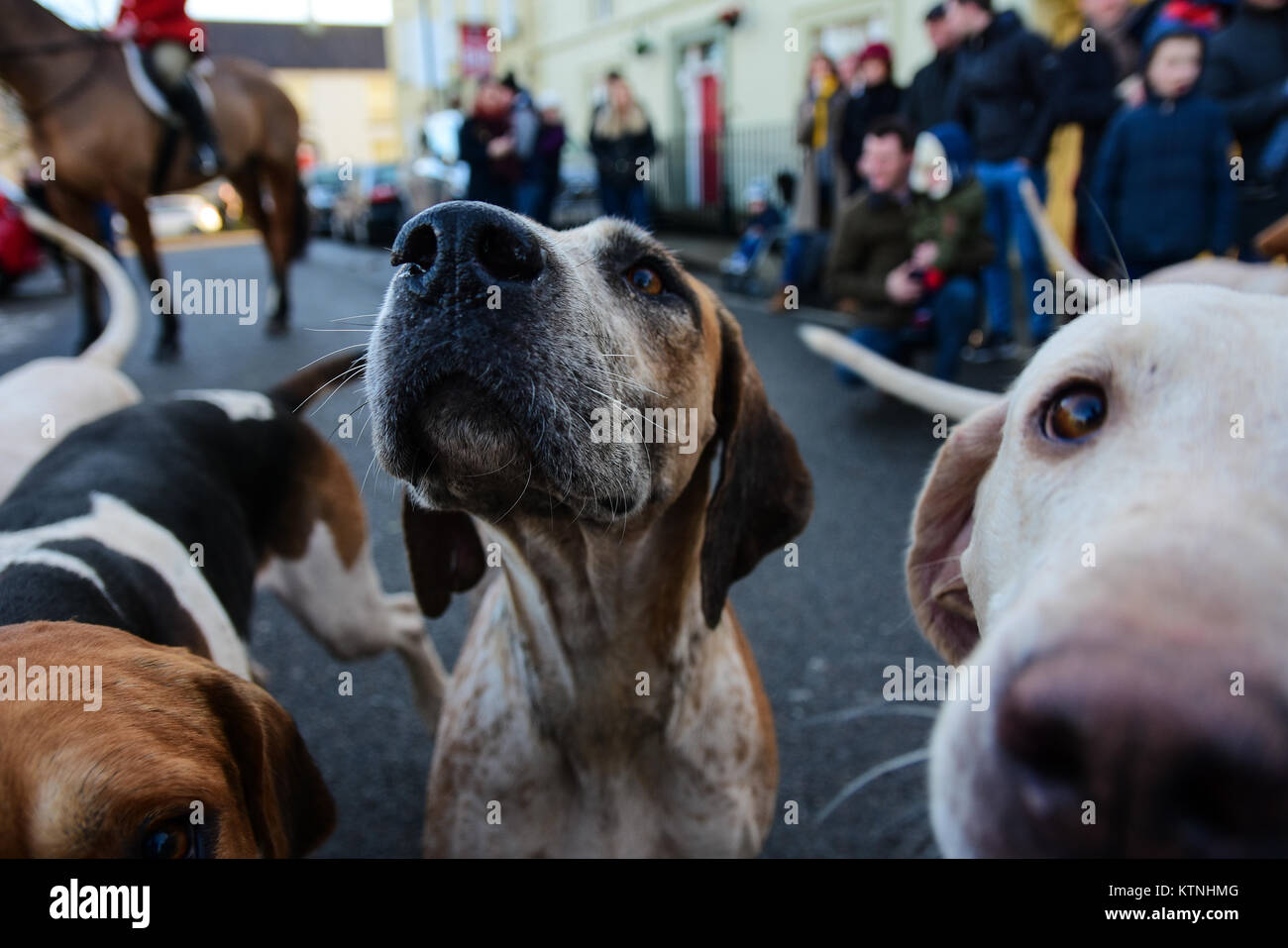 Moy, UK. Déc 26, 2017. Le Sud Tyrone Fox Hounds Boxing day annuel rencontrez dans le village de Moy, la traditionnelle annuelle attire plus de 800 des spectateurs et participants qui rassemble dans la rue principale de Moy, la chasse elle-même quitte alors pour une sortie à travers la magnifique campagne et Tyrone ne poursuit aucun des renards. Moy, UK, le 26 décembre 2017 Crédit : Mark Winter/Alamy Live News Banque D'Images