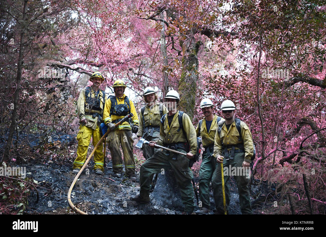 New York, USA. 19 Oct, 2017. Les pompiers se préparent à travailler dans des débris de forêt près de Santa Rosa, Californie, États-Unis, le 19 octobre 2017. De Las Vegas' fusillade à Manhattan dans l'attaque du chariot, de Texas' ouragan Harvey à la Californie, les feux de l'avancée du marché boursier à bull une fois par siècle l'éclipse totale de l'ensemble des États-Unis, dix-sept photos couverts l'impressionnant des moments d'Américains tout au long de l'année. Ils étaient typiques visages des Américains, incarnant l'année de 2017 et en tenant compte de la duplicité de leur vie. Credit : Wu Xiaoling/Xinhua/Alamy Live News Banque D'Images