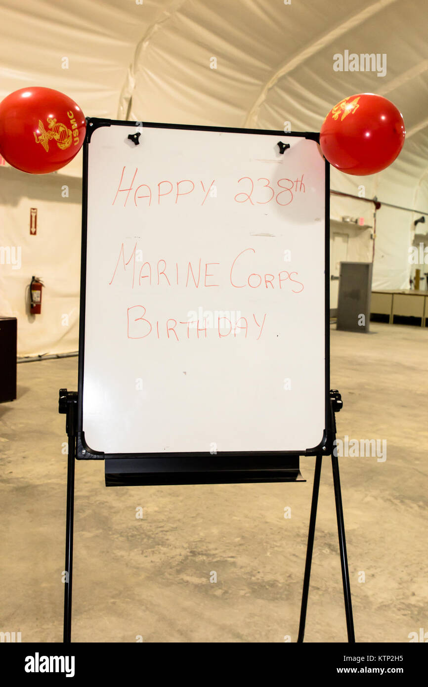 Service antérieur Marines maintenant dans la 42e Brigade d'aviation de combat, NY, la Garde nationale a célébré le 238e anniversaire du Corps des Marines des États-Unis avec une petite Marine Corps Ball dans une tente non utilisés dans le nord de Fort Hood, Texas le 10 novembre 2013. La 42e CAB est en pleine formation mobilisation dans le nord de Fort Hood à se préparer pour un déploiement au Koweït cet hiver. (U.S. Photo de l'armée par la CPS. Harley Jelis) Banque D'Images