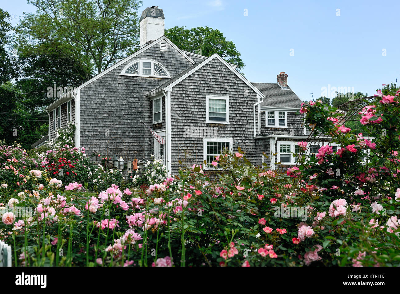 Charmante Nouvelle Angleterre rose garden, Cape Cod, Massachusetts, USA. Banque D'Images