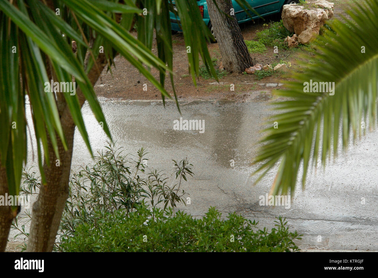 Vue à travers une fenêtre sur les palmes et une rue des pluies au cours d'une pluie d'été à Cala Murada, Majorque, Espagne. Banque D'Images