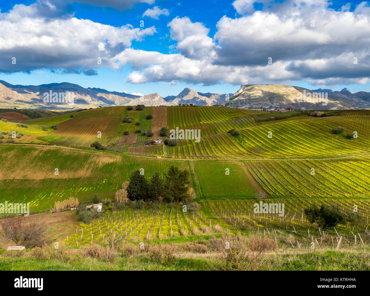 Sicilienne, Camporeale, Sicile,Italie,12.26.2017 Banque D'Images