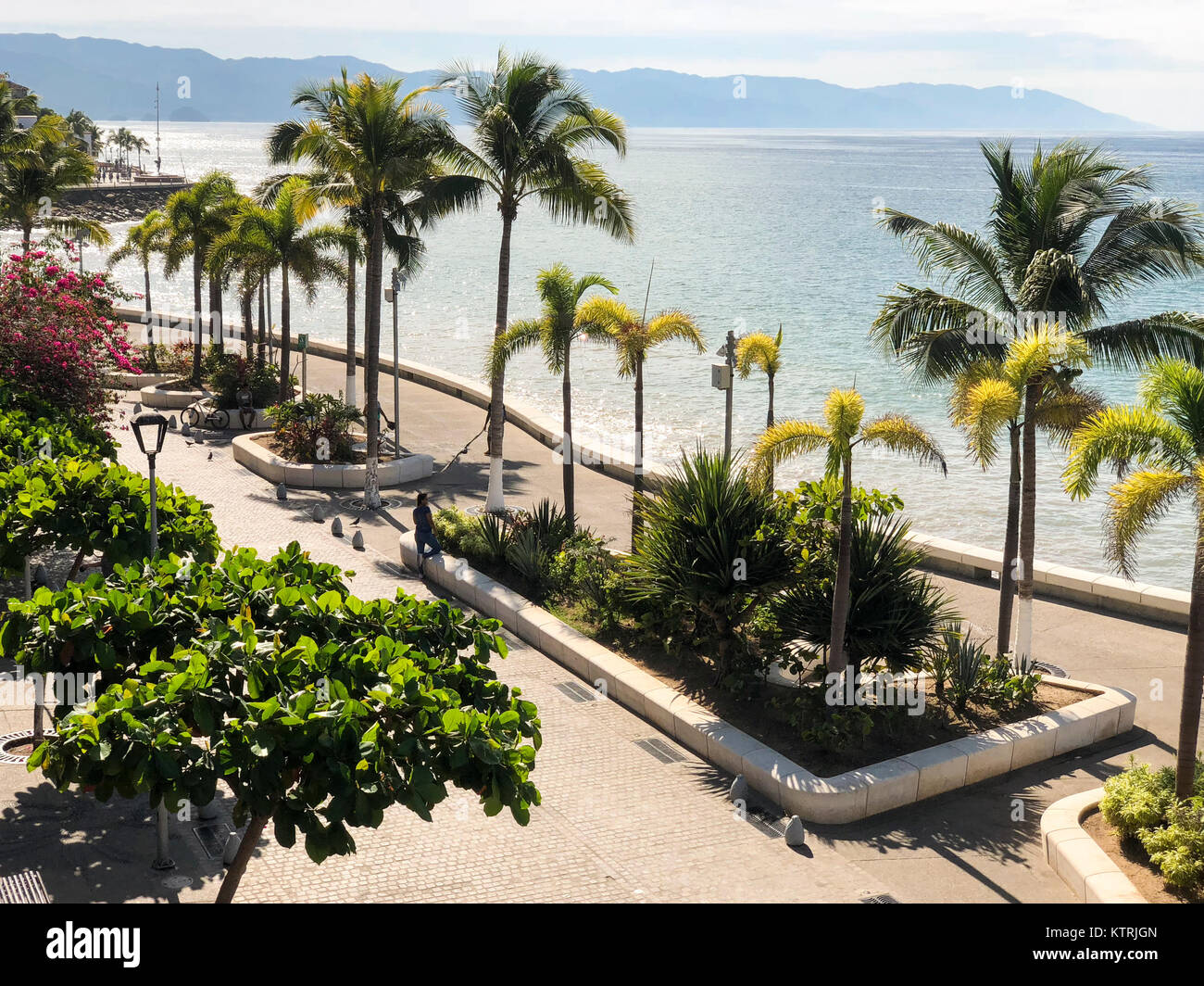 Malecon, promenade dans la région de Puerto Vallarta, Jalisco, Mexique Banque D'Images