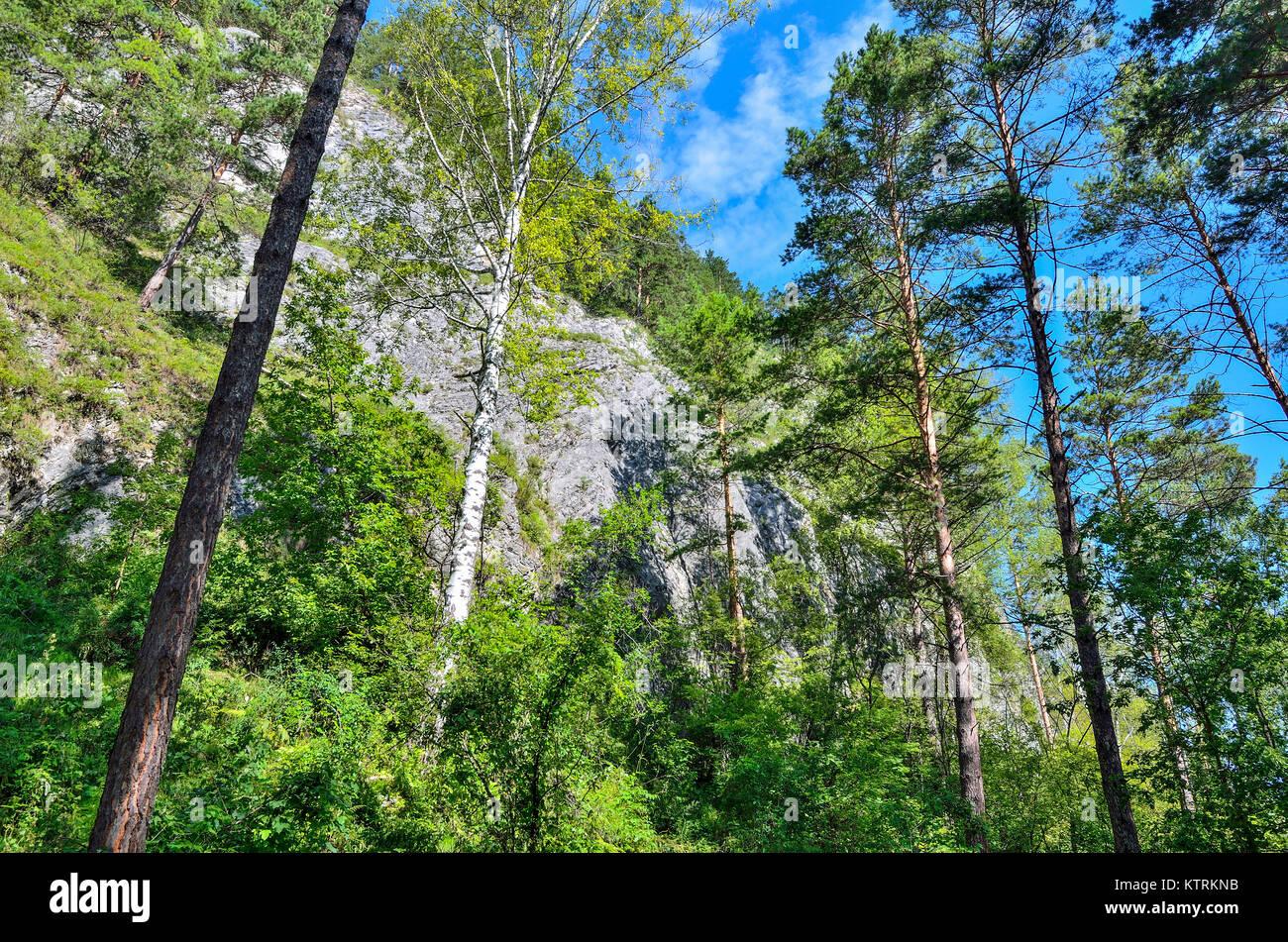 Tavdinskiye peshchery Tavda (grottes) - massif karstique avec une vaste chaîne de caves, monument de l'Altaï, en Russie, de la Sibérie Banque D'Images