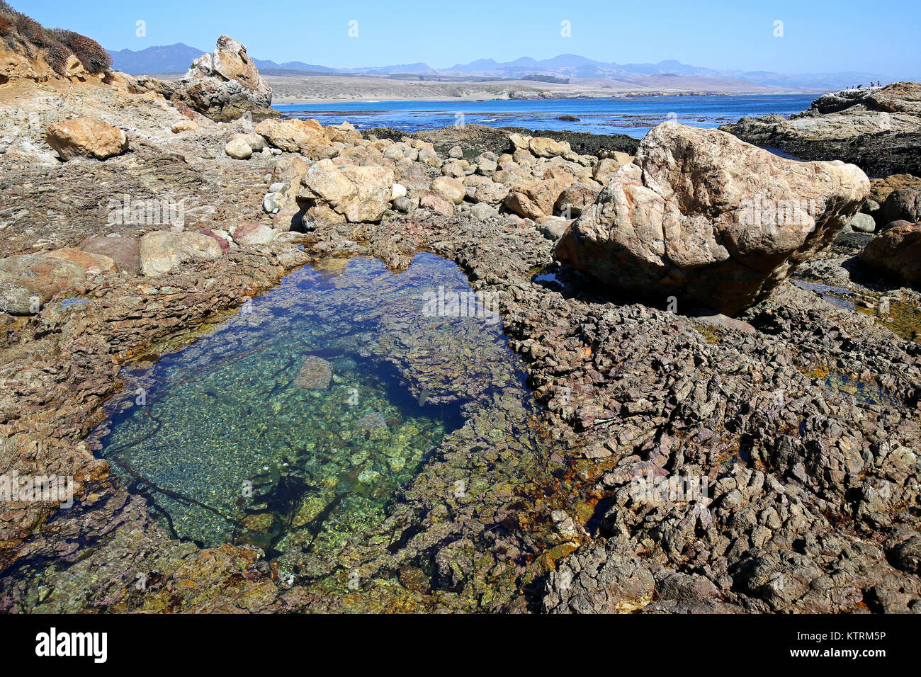 Accidents de vagues contre les rochers sur la rive de la station de phare de Piedras Blancas zone naturelle exceptionnelle, le 15 septembre 2016 près de San Simeon, en Californie. Banque D'Images