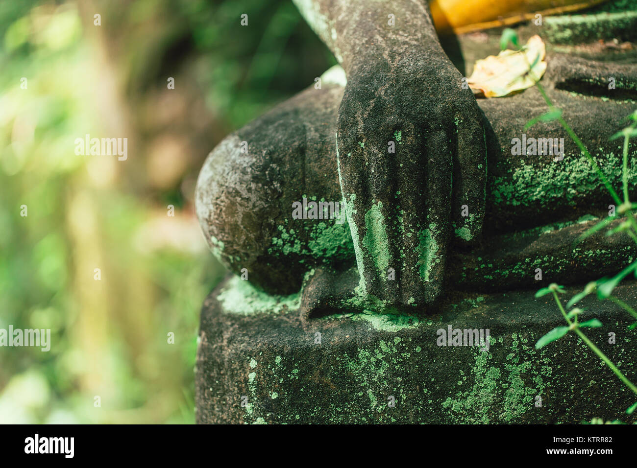 La main de Bouddha en pierre de l'asian art dans la forêt en Wat U-Mong Chiangmai en Thaïlande. Banque D'Images