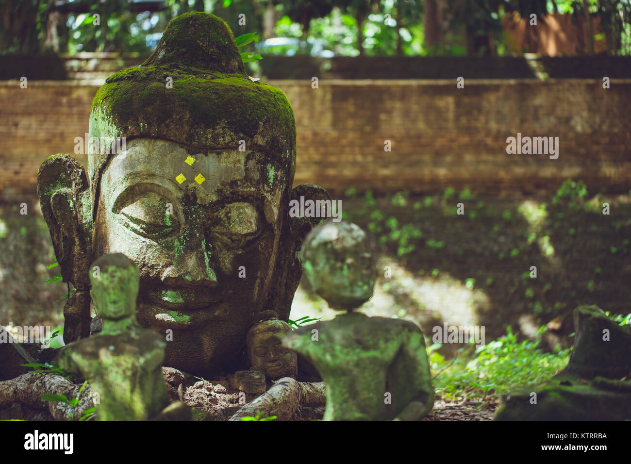 Tête de Bouddha en pierre de l'asian art dans la forêt en Wat U-Mong Chiangmai en Thaïlande. Banque D'Images