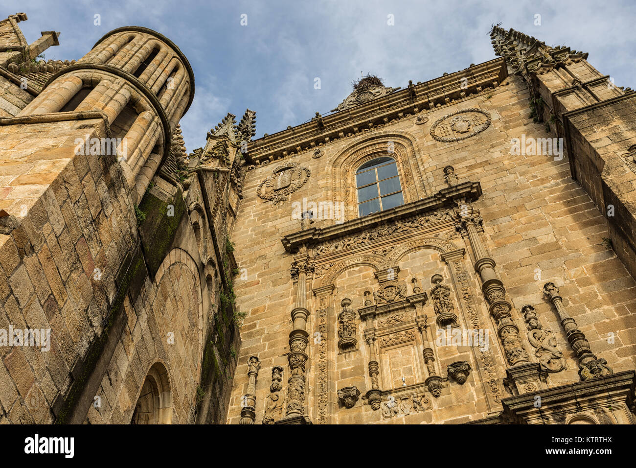 Façade Sud de la cathédrale de Plasencia en Estrémadure. L'Espagne. Banque D'Images