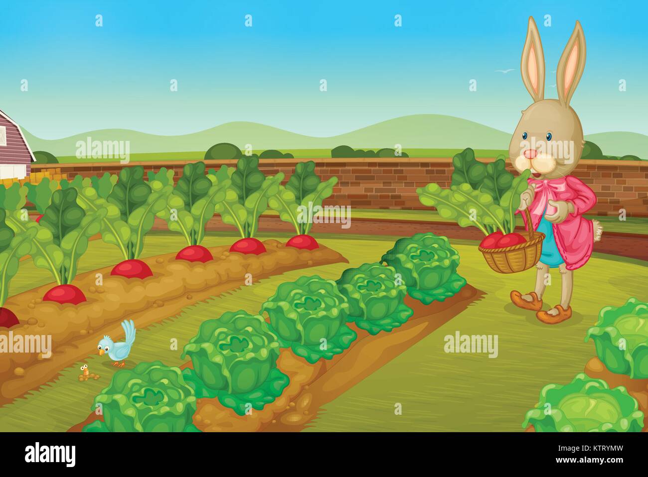 Dans la préparation de lapin raddishes farm Illustration de Vecteur