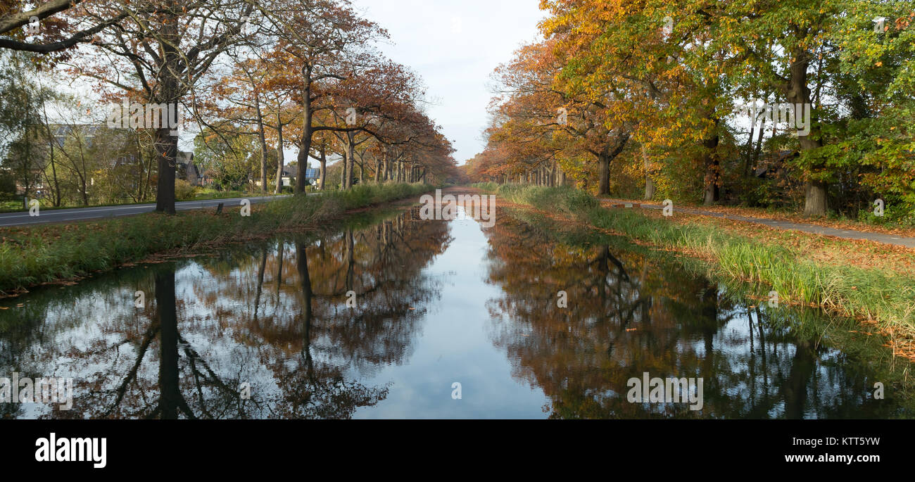 Rivière à tréeliné en automne, Gelderland, Hollande Banque D'Images