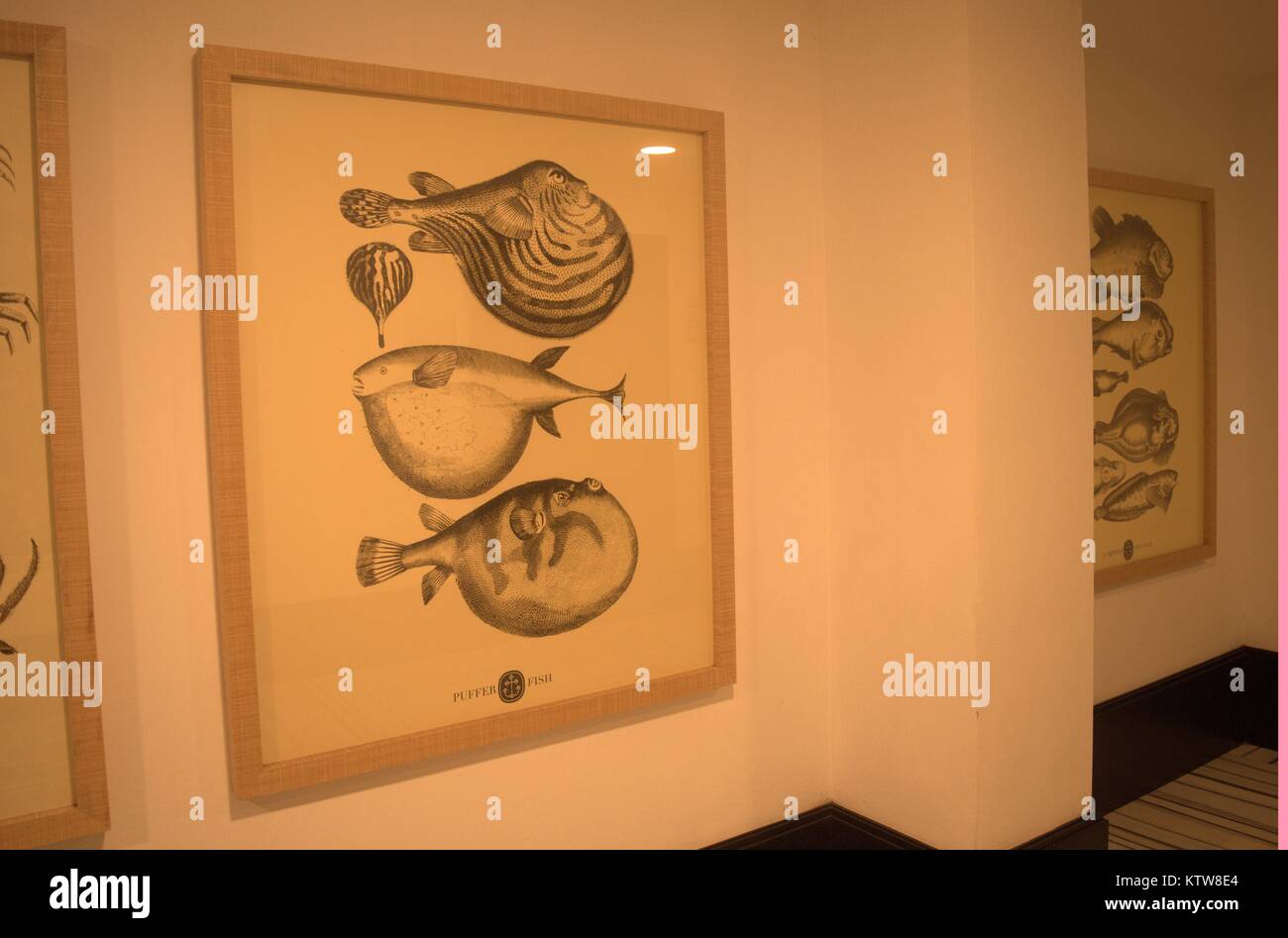 Peinture de poisson Banque D'Images