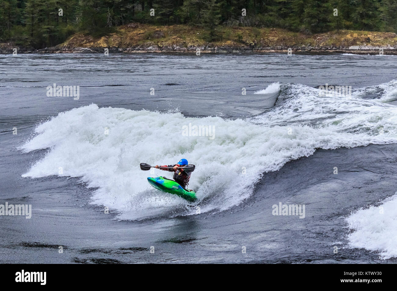 Avec une masse de bulles sous l'arc de son kayak, un playboating contient jusqu'sa raquette comme il monte en bas de la face d'une énorme vague, rapide à rapides Sechelt, BC. Banque D'Images