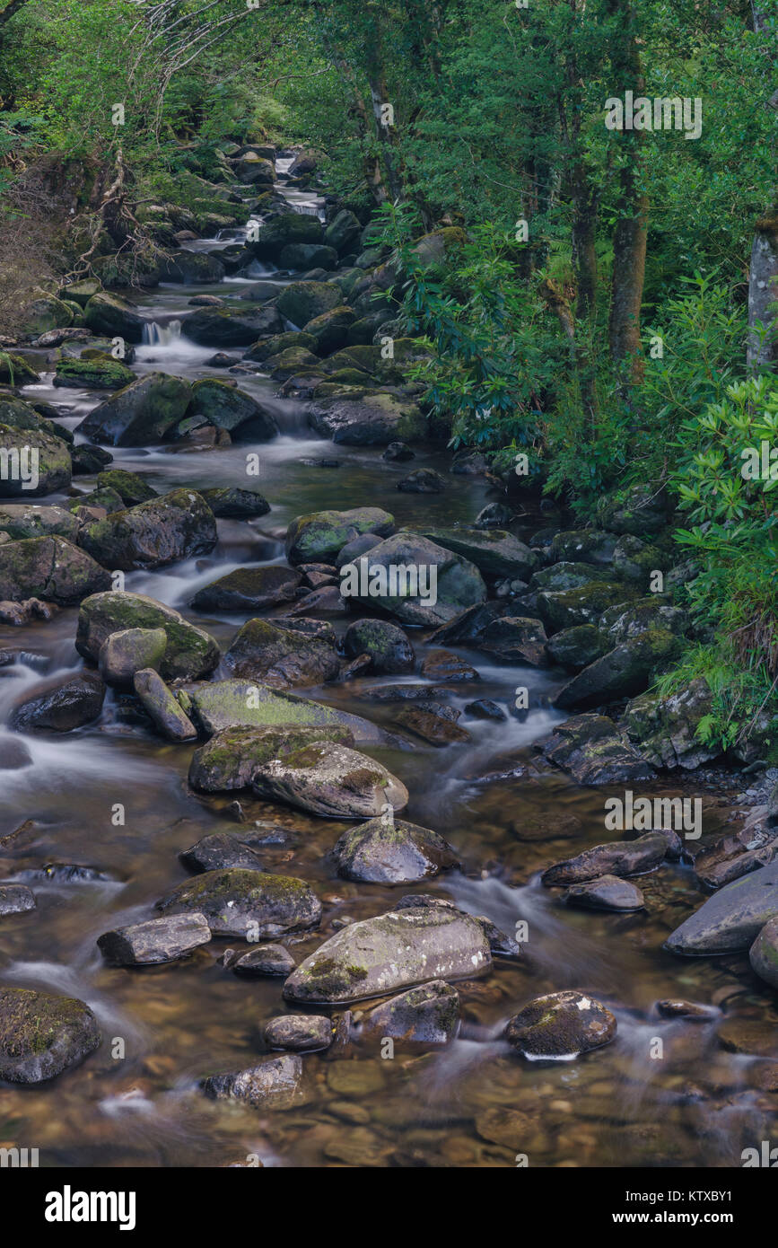 Rivière Owengarriff, le Parc National de Killarney, comté de Kerry, Munster, République d'Irlande, Europe Banque D'Images