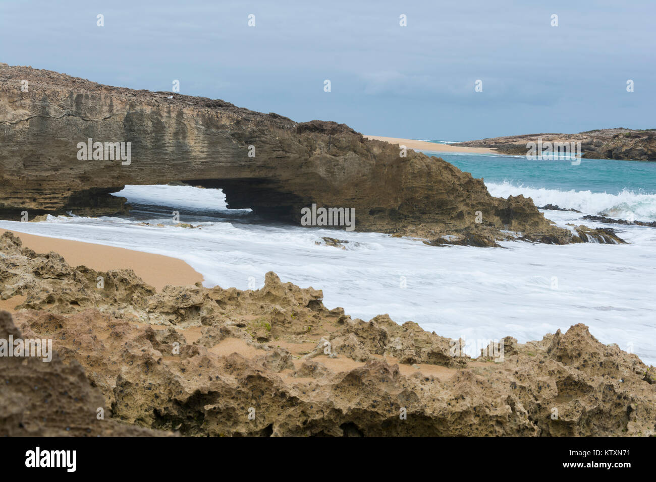 Formation rocheuse arquée à Beachport sur la route panoramique, situé dans le sud-est Région côtière du Sud, Australie Banque D'Images