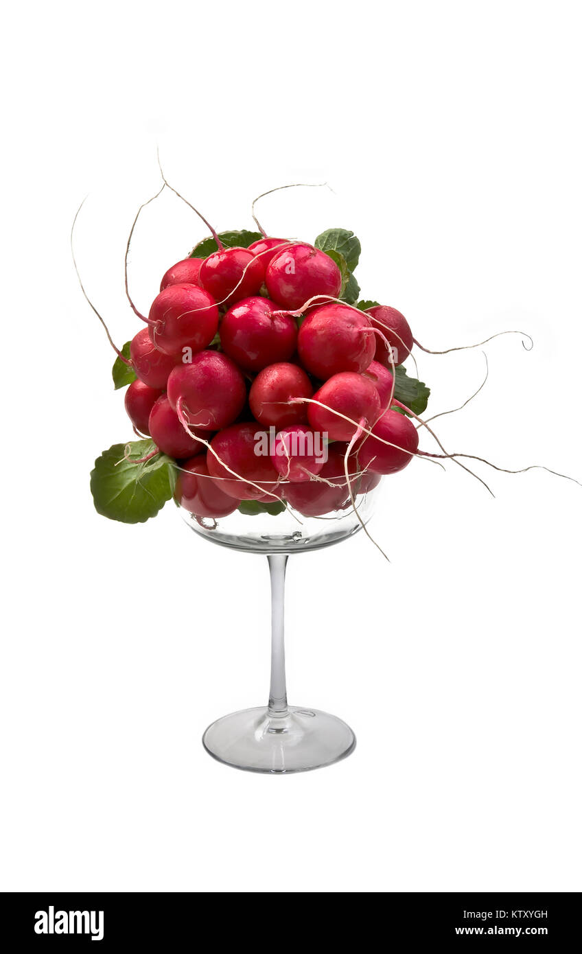 Bouquet de radis dans grand verre sur fond blanc Banque D'Images