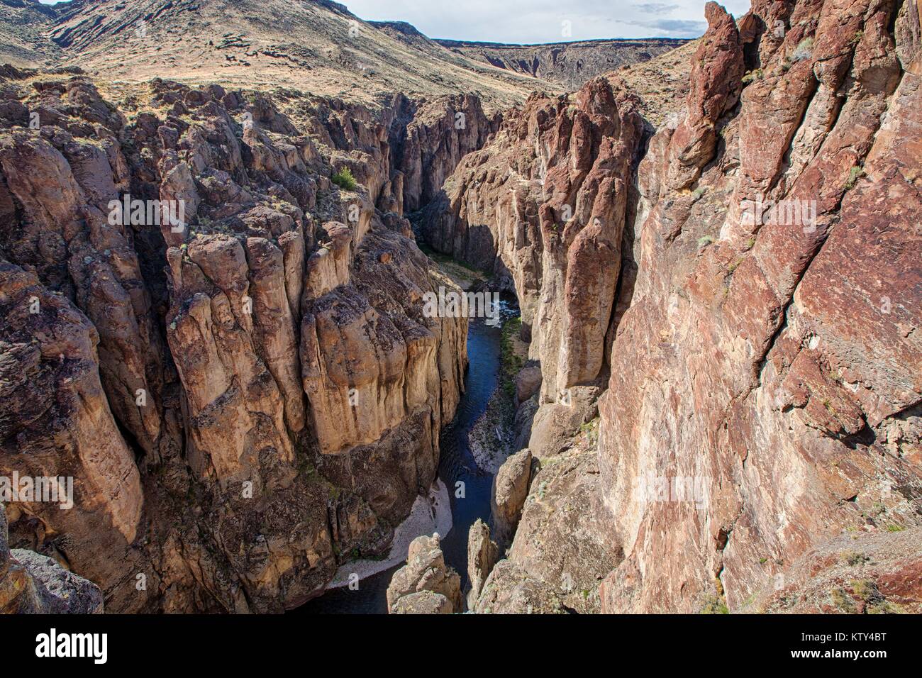 L'Bruneau Wild and Scenic River serpente à travers les canyons desert rock, le 21 juin 2013 dans l'Idaho. Banque D'Images