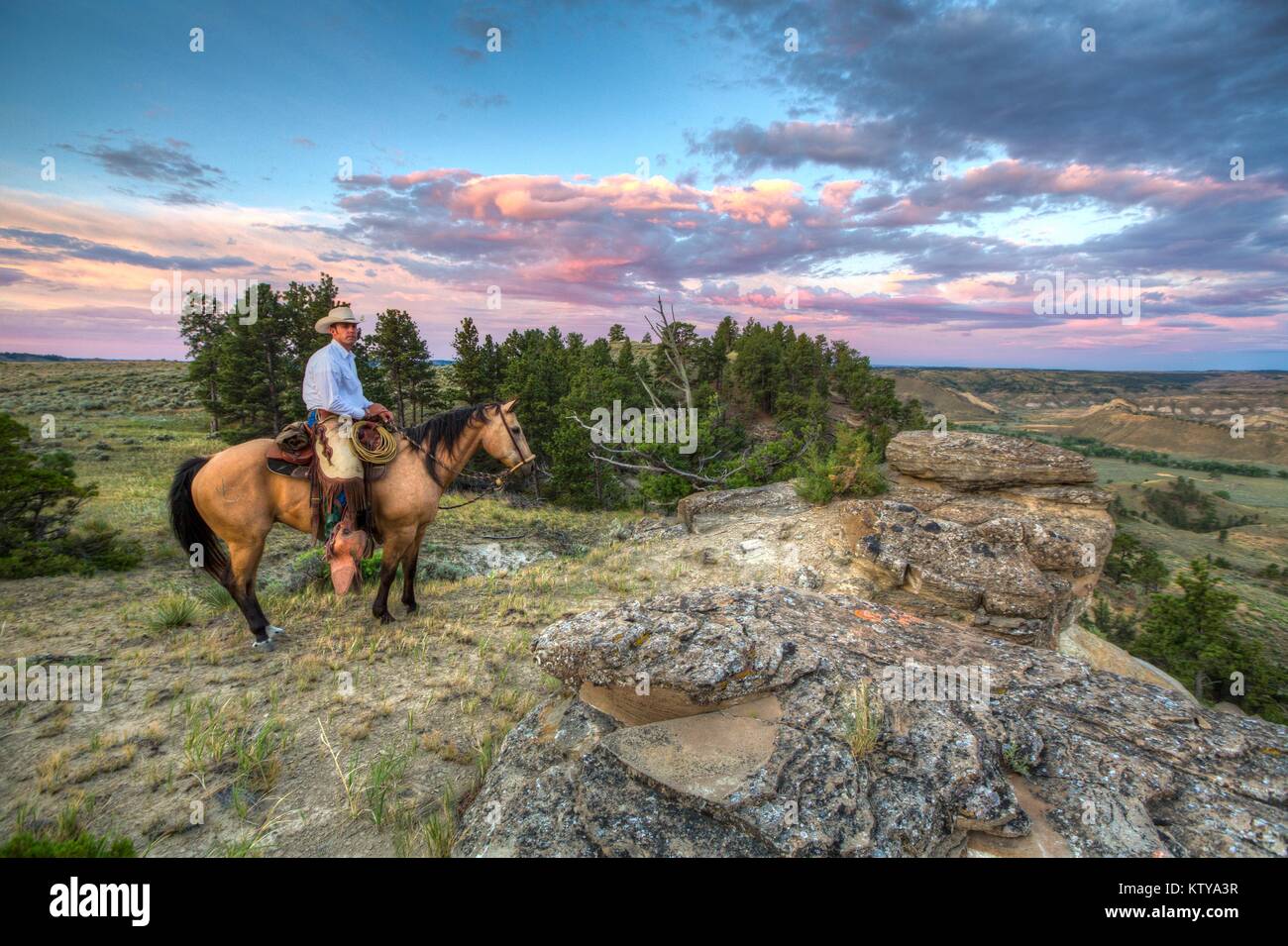 Un cowboy chevauche son cheval près de la partie supérieure de la rivière Missouri et National Scenic River dans la partie supérieure de la rivière Missouri Breaks National Monument le 29 juin 2017 près de Lewistown, Montana. Banque D'Images