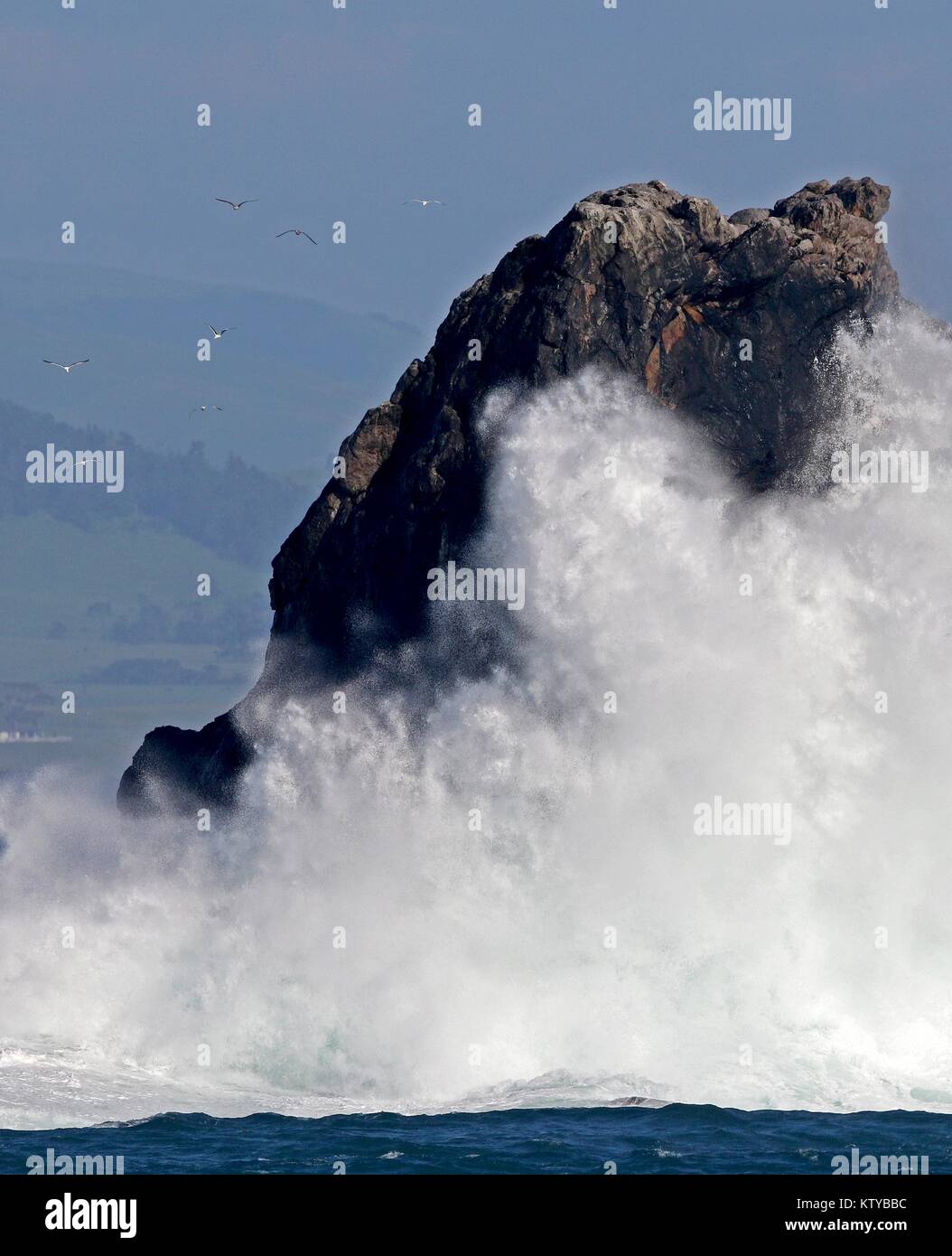 Accidents de vagues contre les rochers sur la rive de la station de phare de Piedras Blancas zone naturelle exceptionnelle, le 8 avril 2017 près de San Simeon, en Californie. Banque D'Images