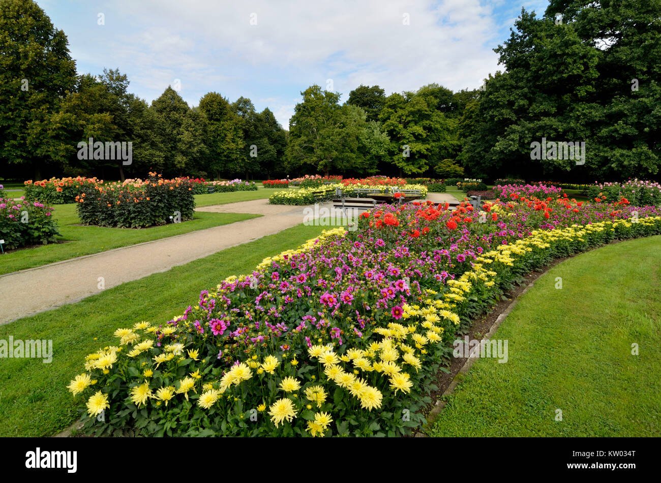 Dresde, Dahlia garden dans le grand jardin, Dahliengarten im Großen Garten Banque D'Images