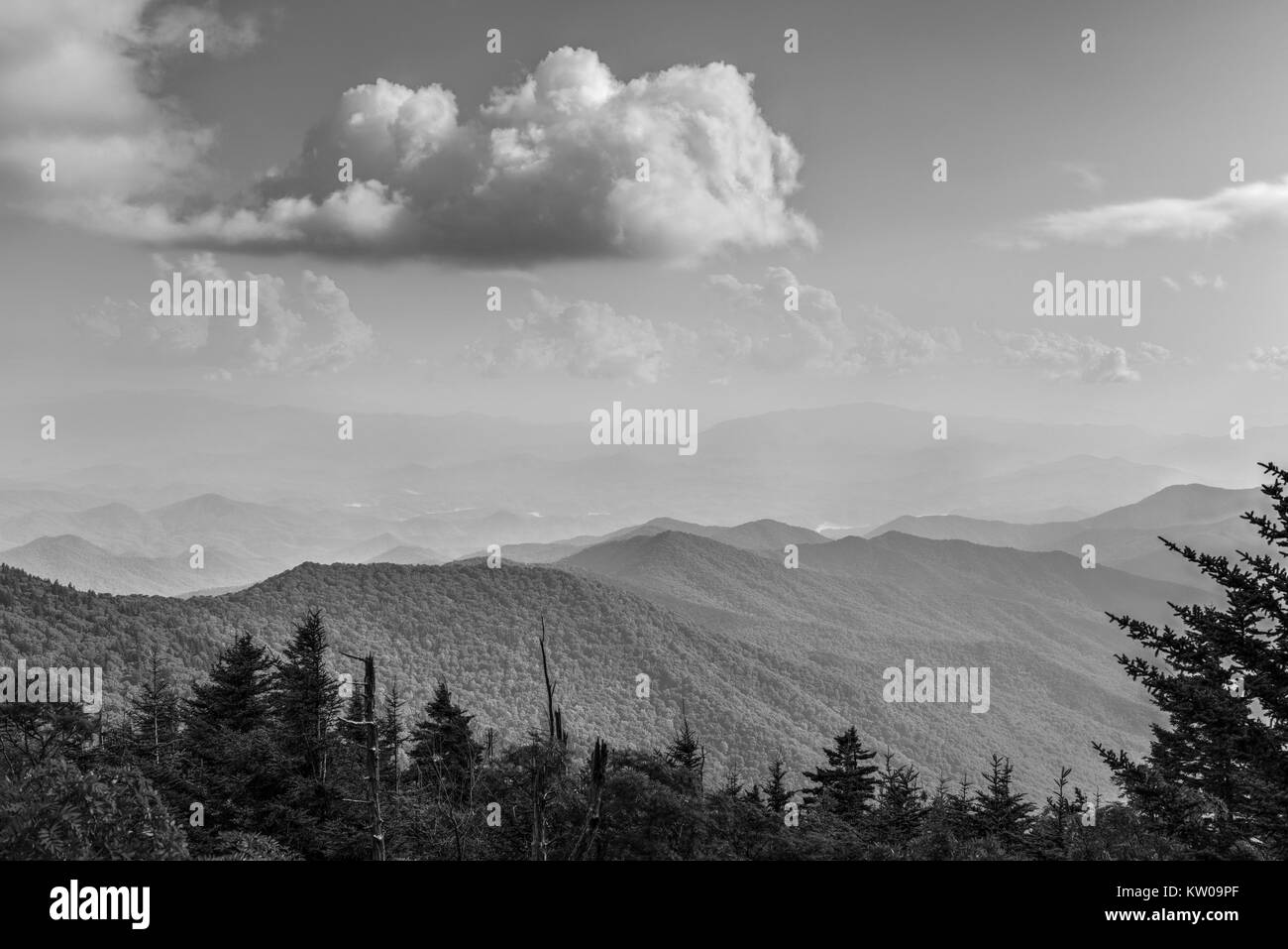 Ancienne terre dans les Appalaches de Great Smoky Mountains National Park de Clingman's Dome, en Caroline du Nord, USA. Banque D'Images