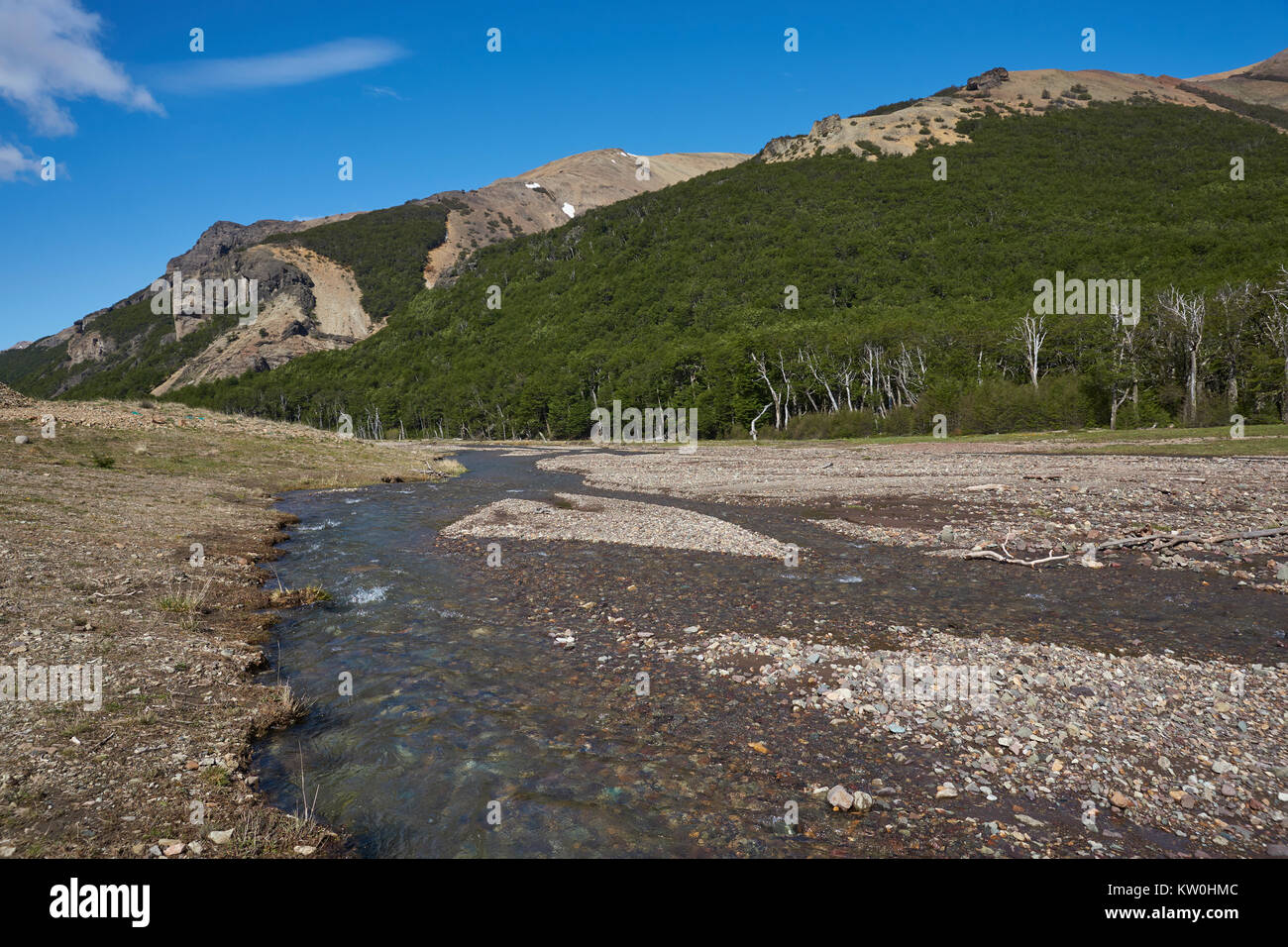Rivière peu profonde qui longe la Carretera Austral à mesure qu'elle traverse Cerro Castillo Réserve nationale dans le nord de la Patagonie, au Chili Banque D'Images