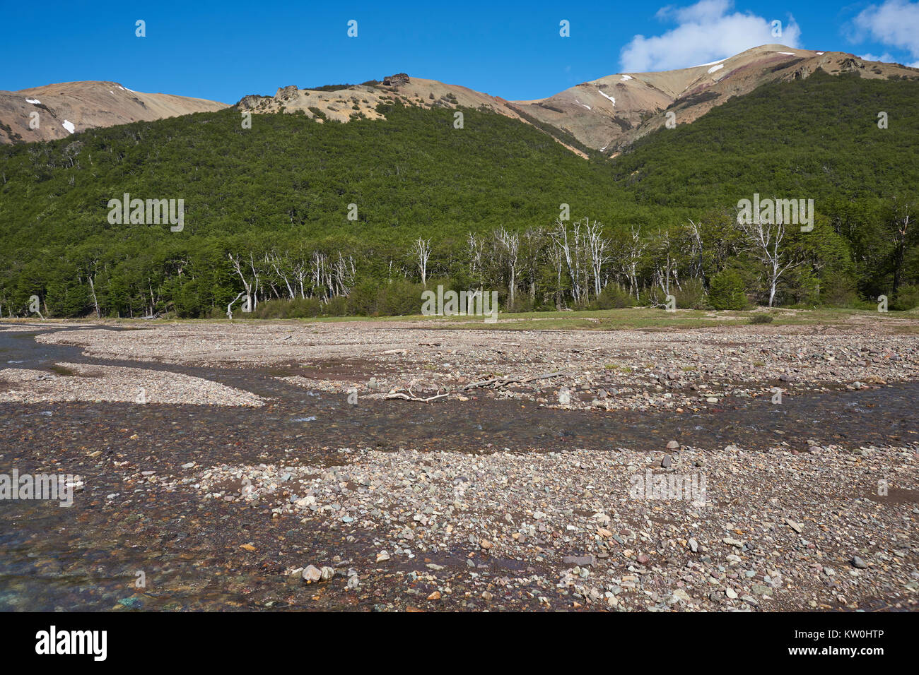 Rivière peu profonde qui longe la Carretera Austral à mesure qu'elle traverse Cerro Castillo Réserve nationale dans le nord de la Patagonie, au Chili Banque D'Images